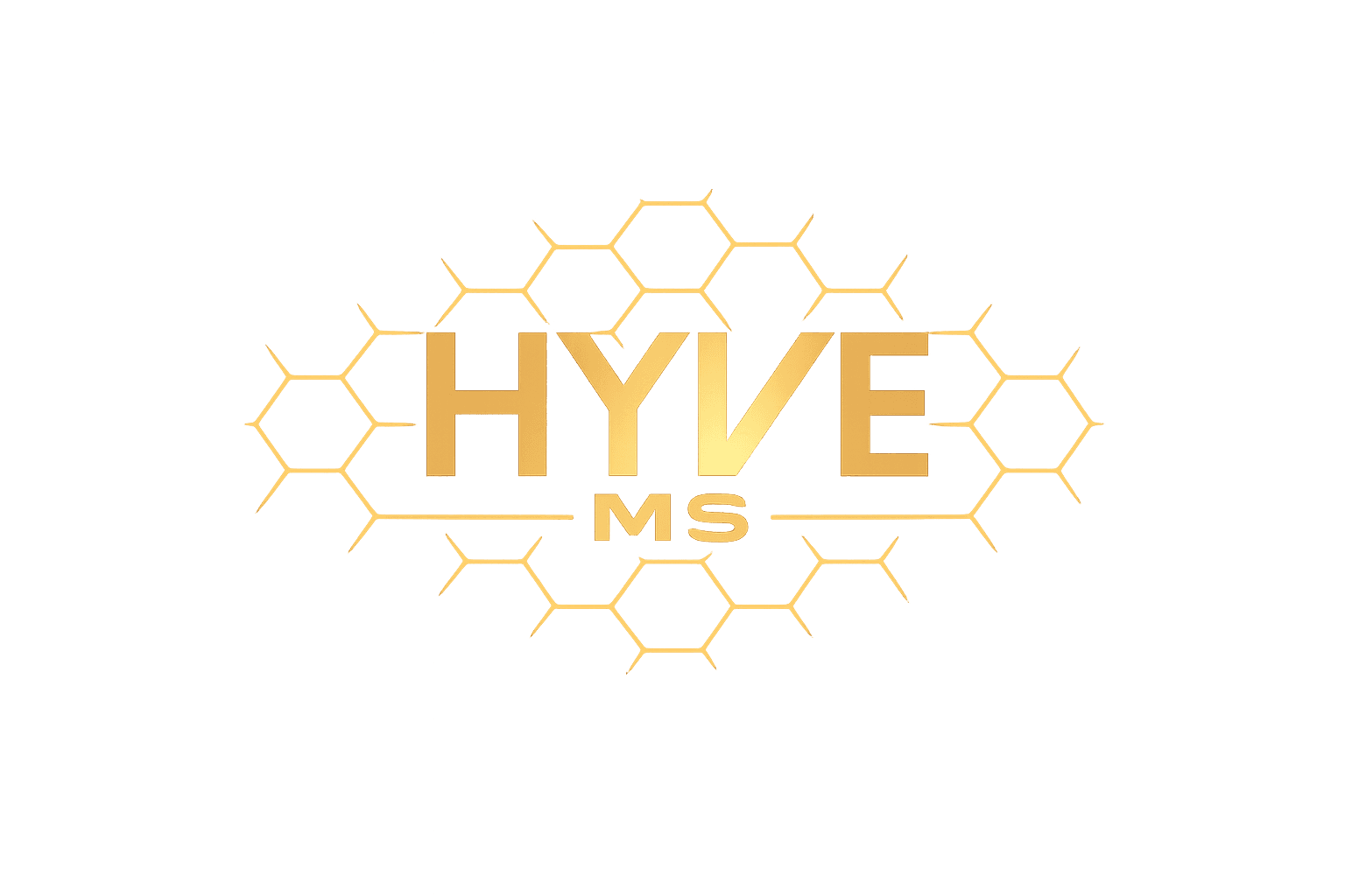 HYVE MS
